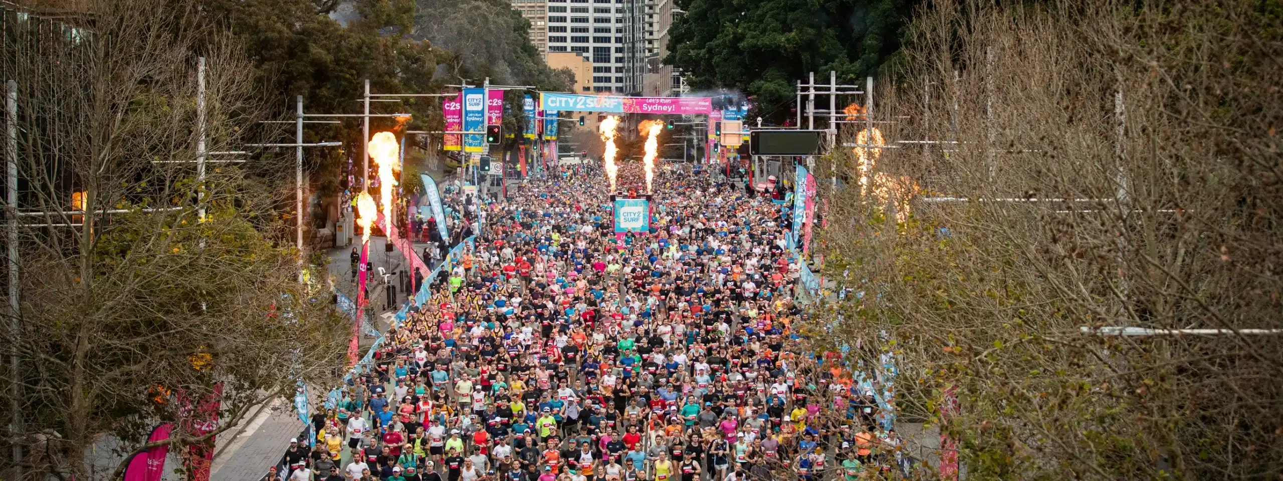 City2Surf nearby accommodation in Sydney